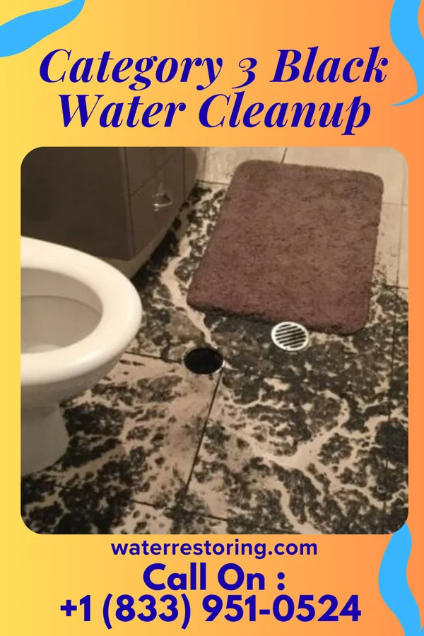 Category 3 Black Water Cleanup in Wellsburg, IA