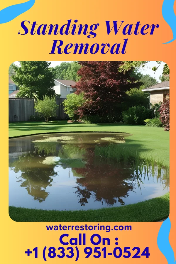 Standing Water Removal in Wellsburg, IA